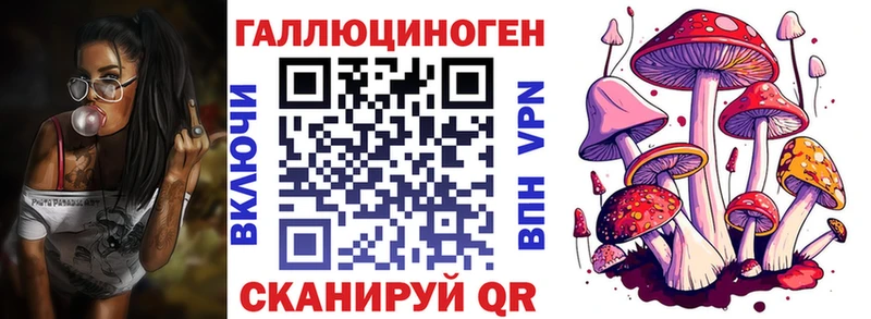 Псилоцибиновые грибы MAGIC MUSHROOMS  купить наркоту  Николаевск-на-Амуре 